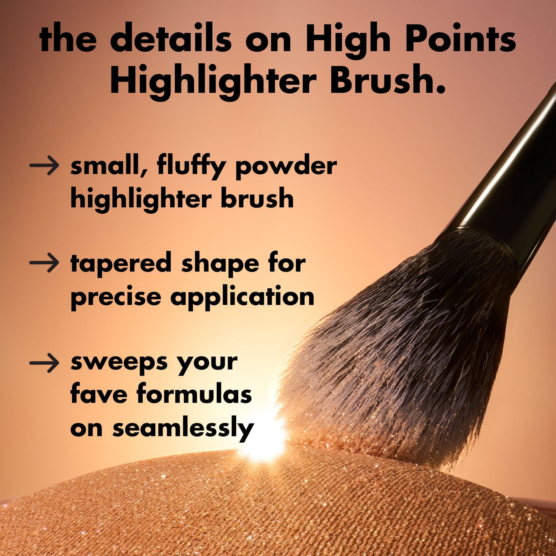 high-points-highlighter-brush-v8 0226_EDU_HighpointsHighlighterBrush_Details.jpg