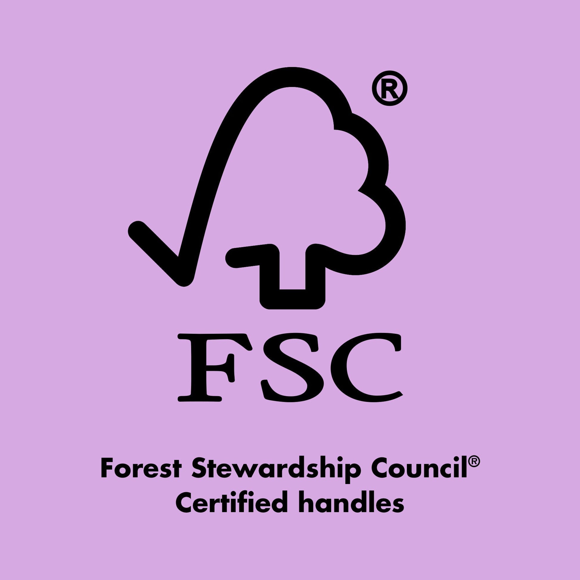 ten-out-of-ten-brush-kit-b2 0423_EDUCATION_FSC_EVERGREEN.jpg