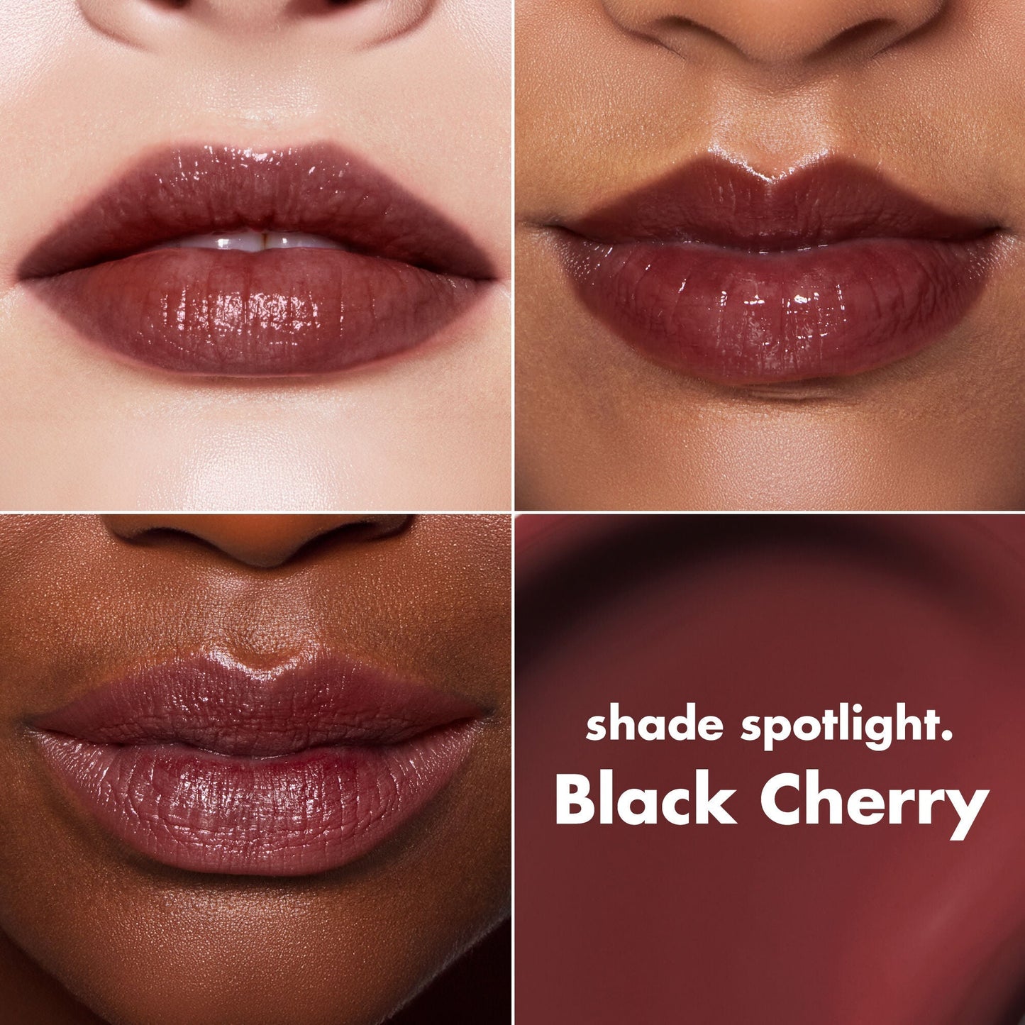 lip-lacquer-o4 0426_EDU_LipLaquer_ShadeChart_BlackCherry.jpg