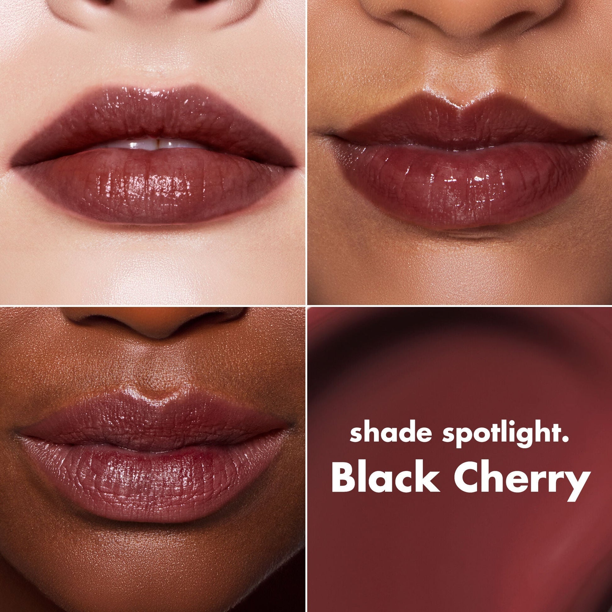 lip-lacquer-o4 0426_EDU_LipLaquer_ShadeChart_BlackCherry.jpg