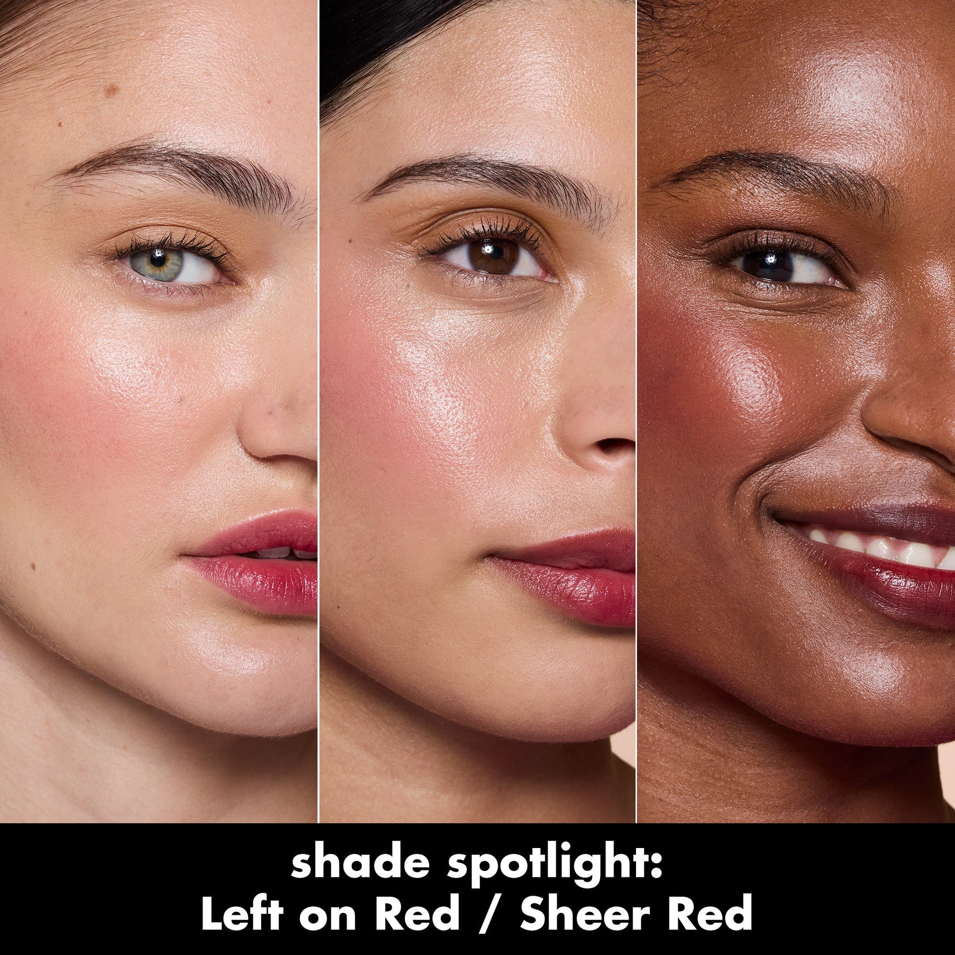 sheer-for-it-blush-tint-a2 0526_SEO_SheerForIt_ShadeSpotlight_LeftOnRed.jpg
