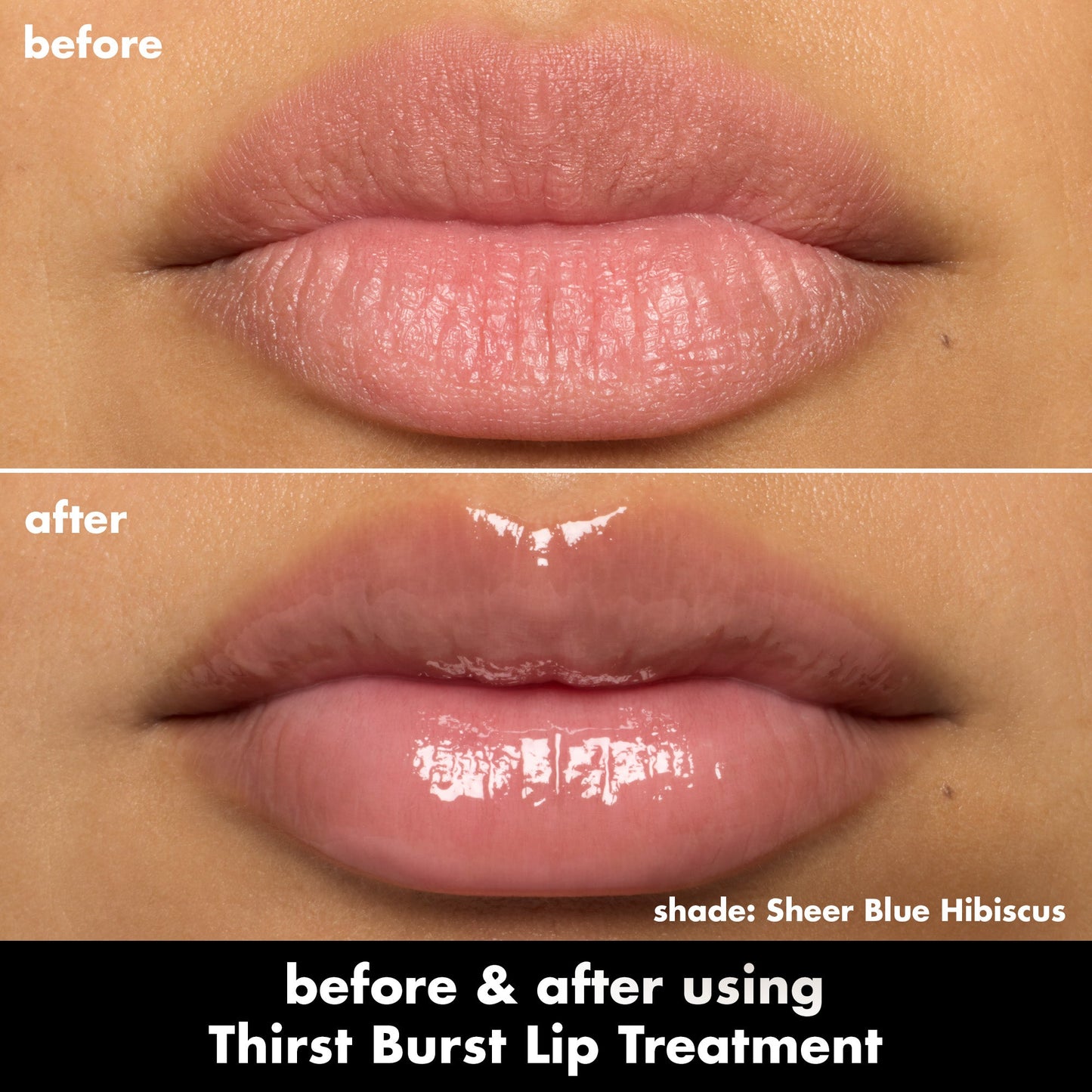 thirst-burst-lip-treatment-i6 0526_SEO_ThirstBurstLipTreatment_BA_SheerBlueHibiscus.jpg