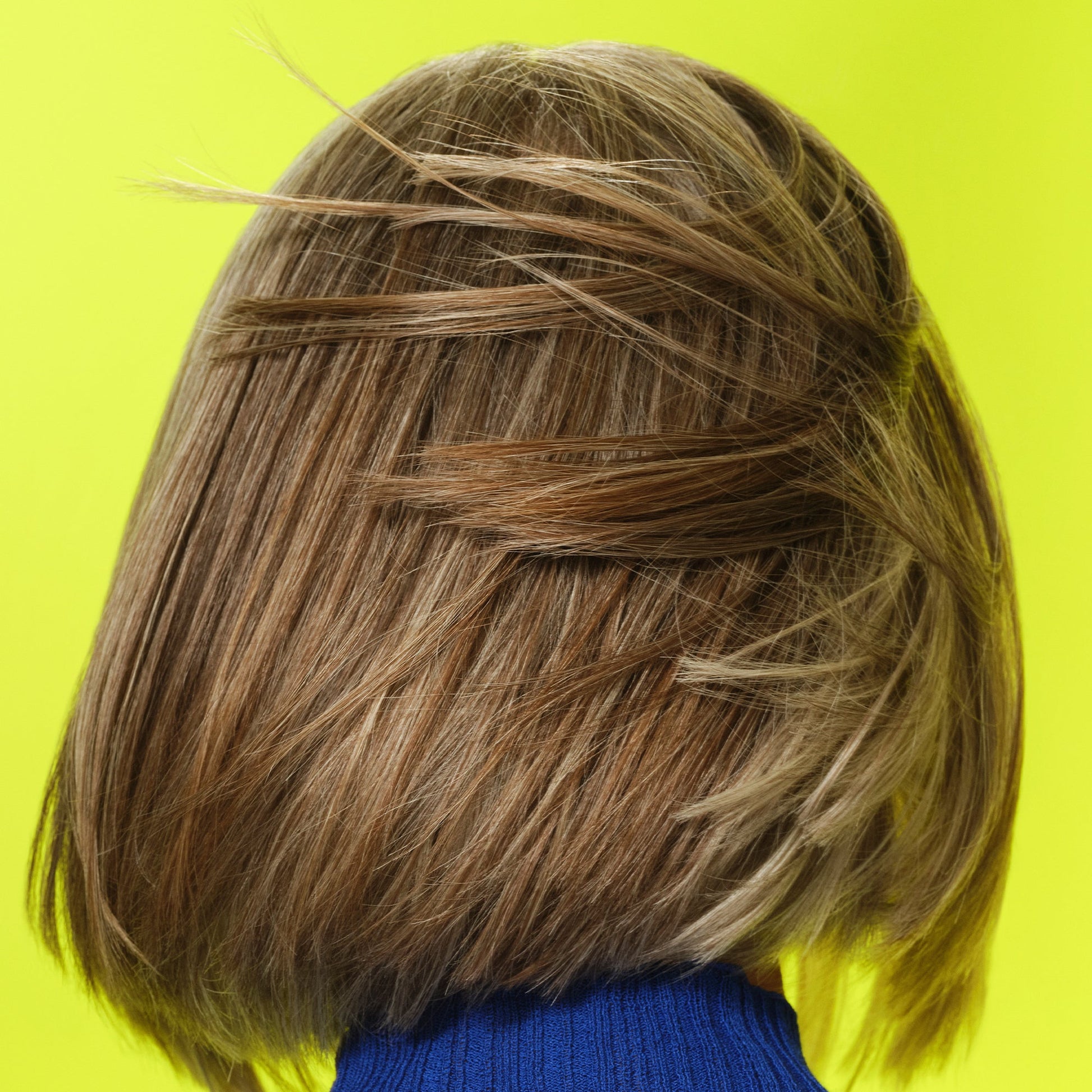 frizz-to-rizz-trio-k2 111725_Vicky_HumidityAntifrizz-Editorial_0538_w2QC_IGF_1x1_05a09617-4ccf-44a2-8545-199321a503e1.jpg