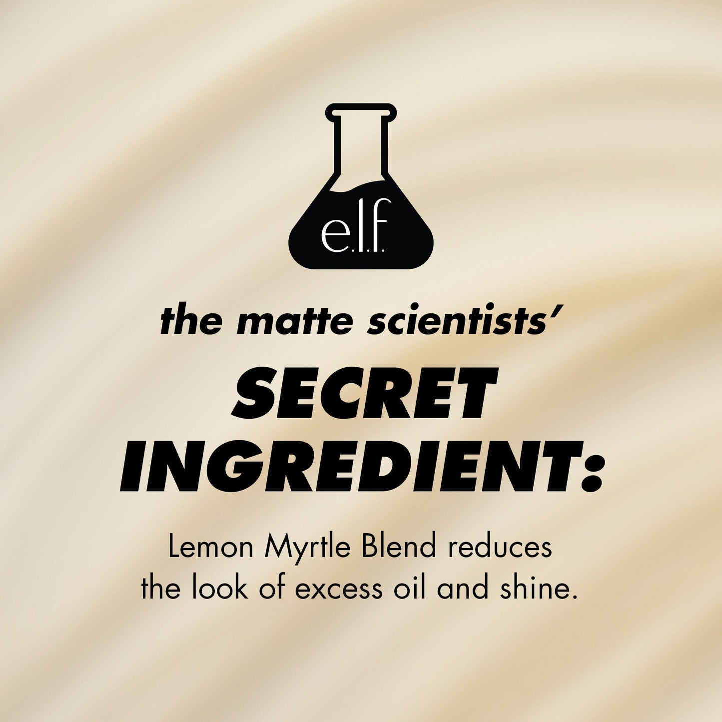 power-grip-matte-primer-u4 1224_EDUCATION_PGMATTE_INGREDIENT_b9de063f-aeb5-403f-9709-c3cafbf9c9d1.jpg