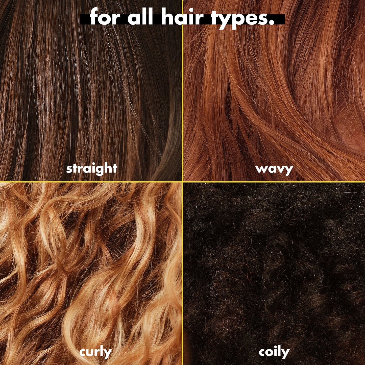 3-in-wonder-duo-k9 FA26_EDUCATION_DARE_GLOSS_MODE_ALLHAIR_TYPES.jpg
